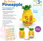 The Big Feelings Pineapple info graph describing what is included in the packaging.