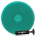 The Teal Circle Wiggle Seat Cushion with air pump.