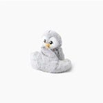Pax the Penguin sits with its arms wrapped around its torso on a white background.