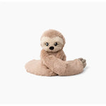 Sawyer the Sloth sits with its arms wrapped around its torso against a white background.