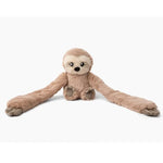Sawyer the Sloth sits with its arms outstretched against a white background.