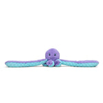 Indigo the Octopus with its arms spread out.