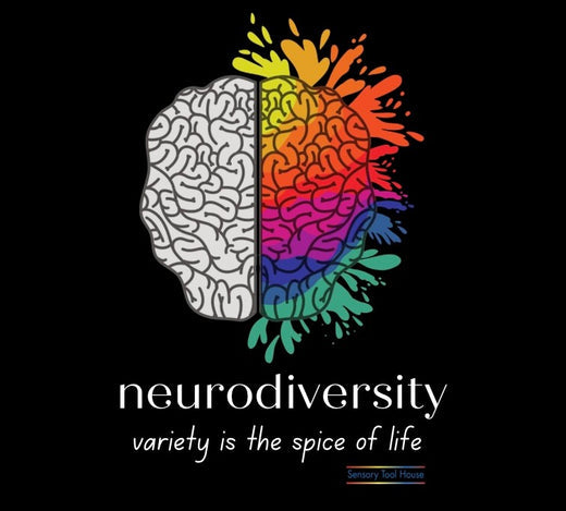 Graphic of a brain with half as a splash of rainbow color. Reads, neurodiversity is the spice of life. Sensory Tool House