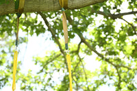 A look at hanging straps connecting the 50" Slackers Adventure Sky Swing to a tree branch.