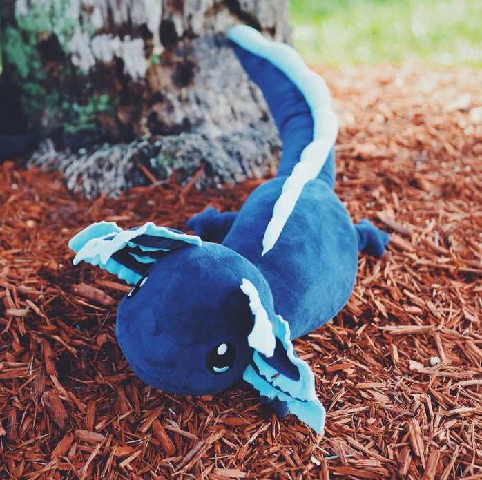 The blue 4 lb Axolotl Weighted Plush.