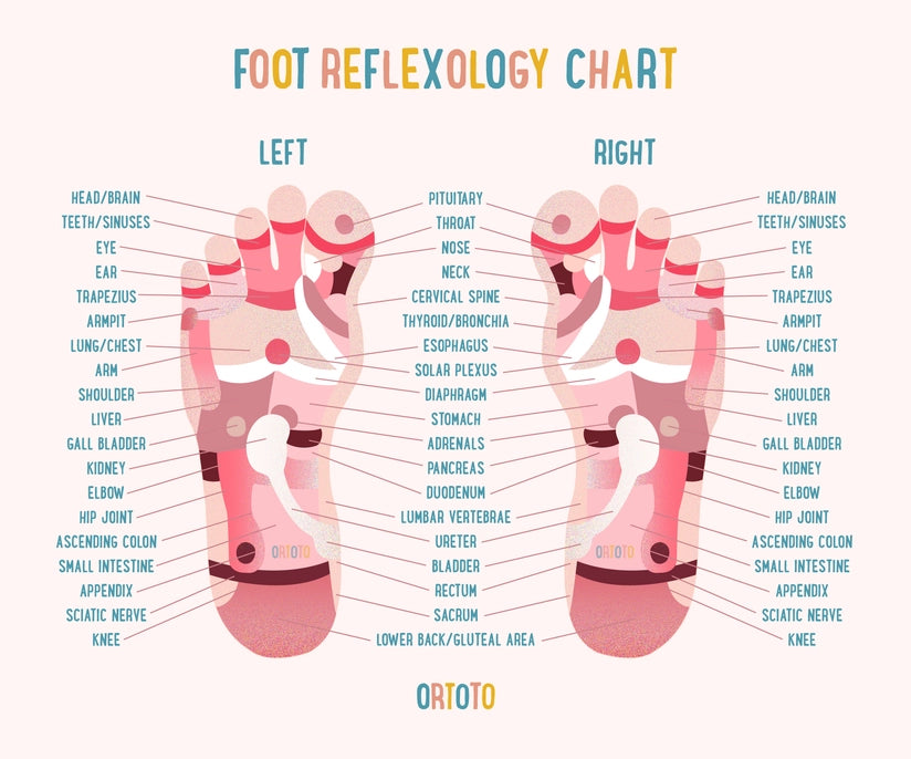 An infographic with a Foot Reflexology Chart.