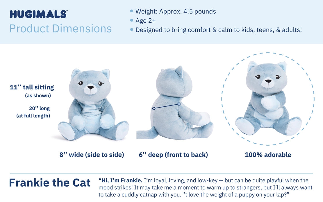 An infographic displays the physical characteristics of Frankie the Cat.