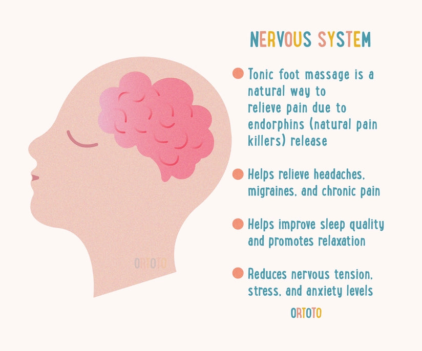 An infographic about the Nervous System.