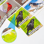 A look at how the cards interlock into the game board of the Assistex Matching Game Activity Board.