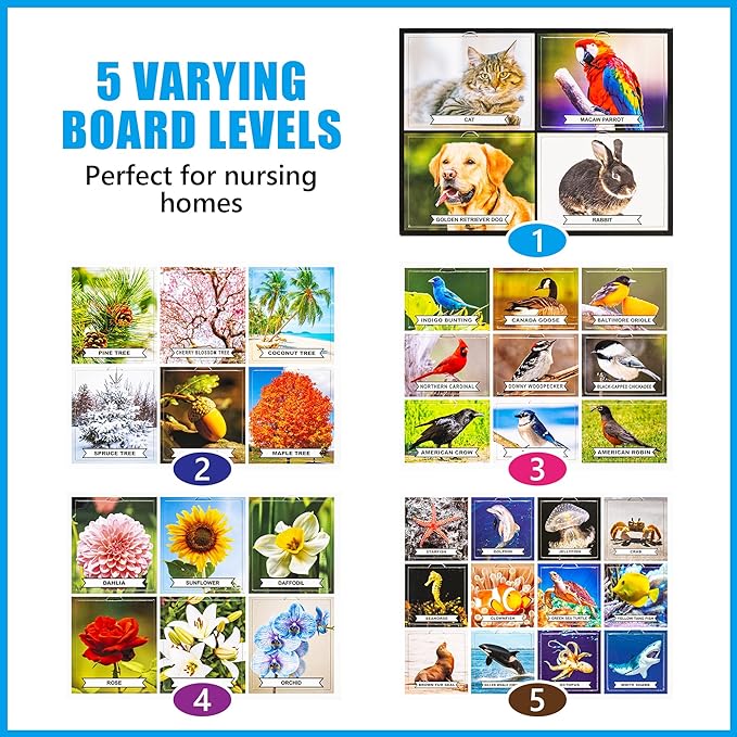The 5 varying board levels of the Assistex Matching Game Activity Board.