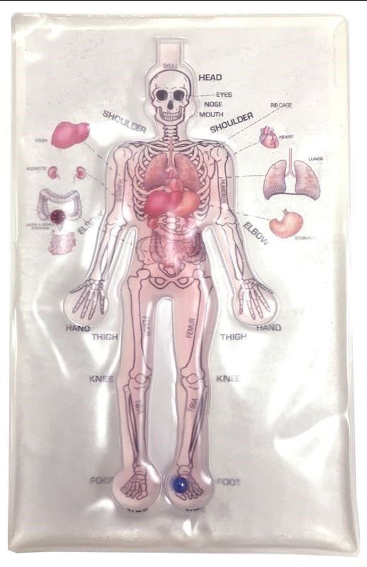 Human Anatomy Gel Pad