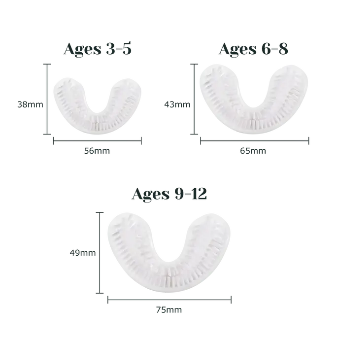 The dimensions of the Kids AutoBrushes.