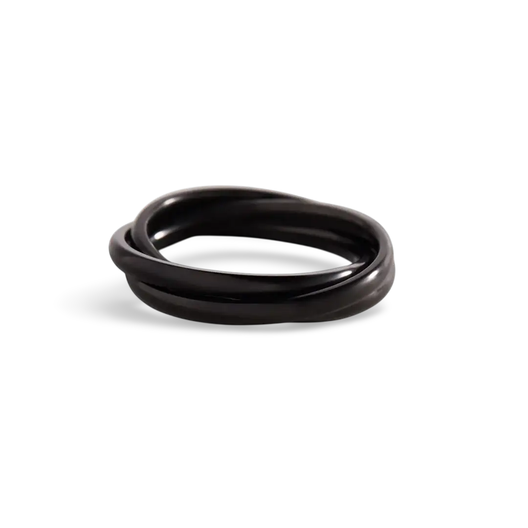 The Mint & Lily Black Dainty Interlocking Fidget Ring.