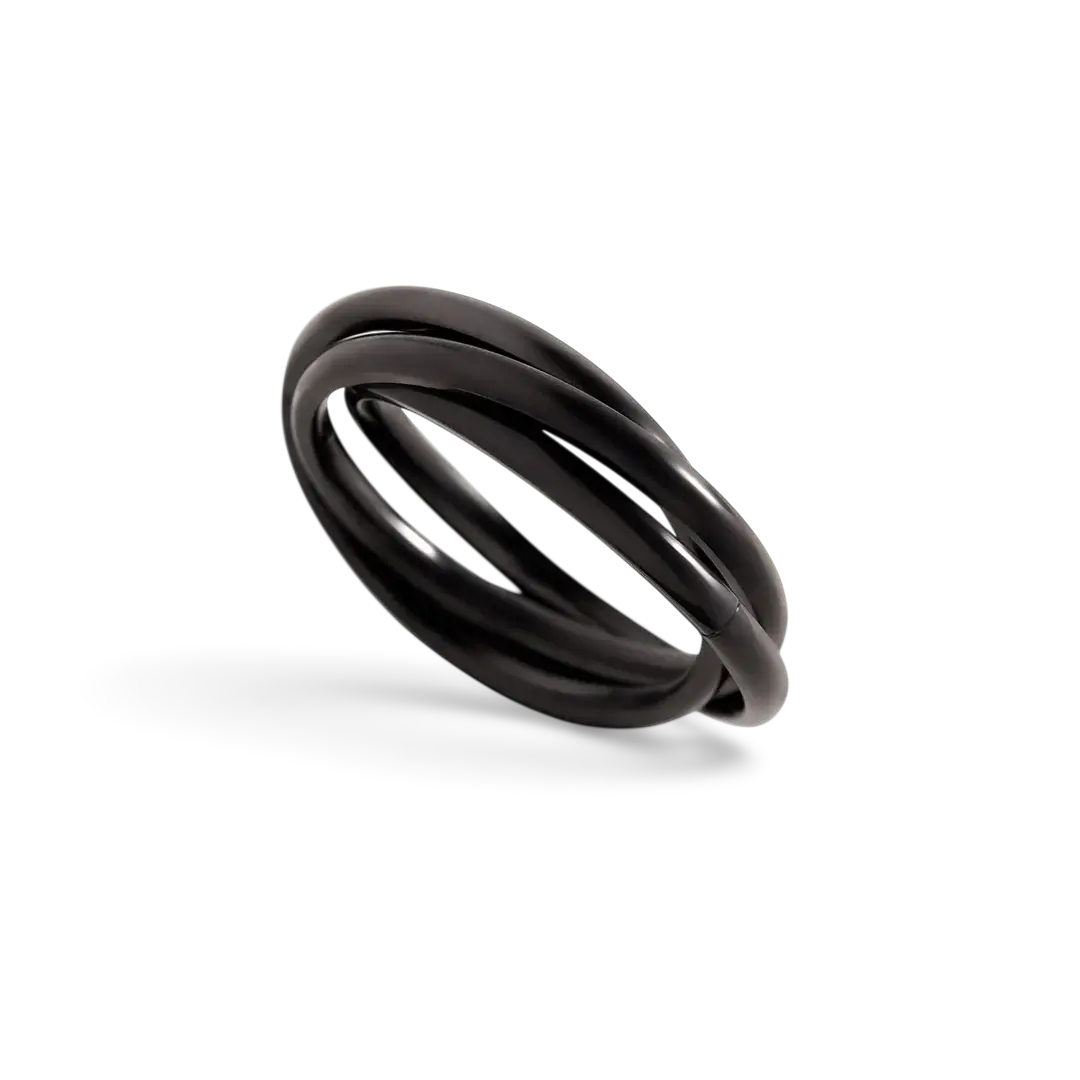The Mint & Lily Black Dainty Interlocking Fidget Ring.