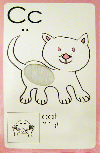 The C for Cat card. 