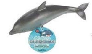 The Dolphin Ocean Squishimal.