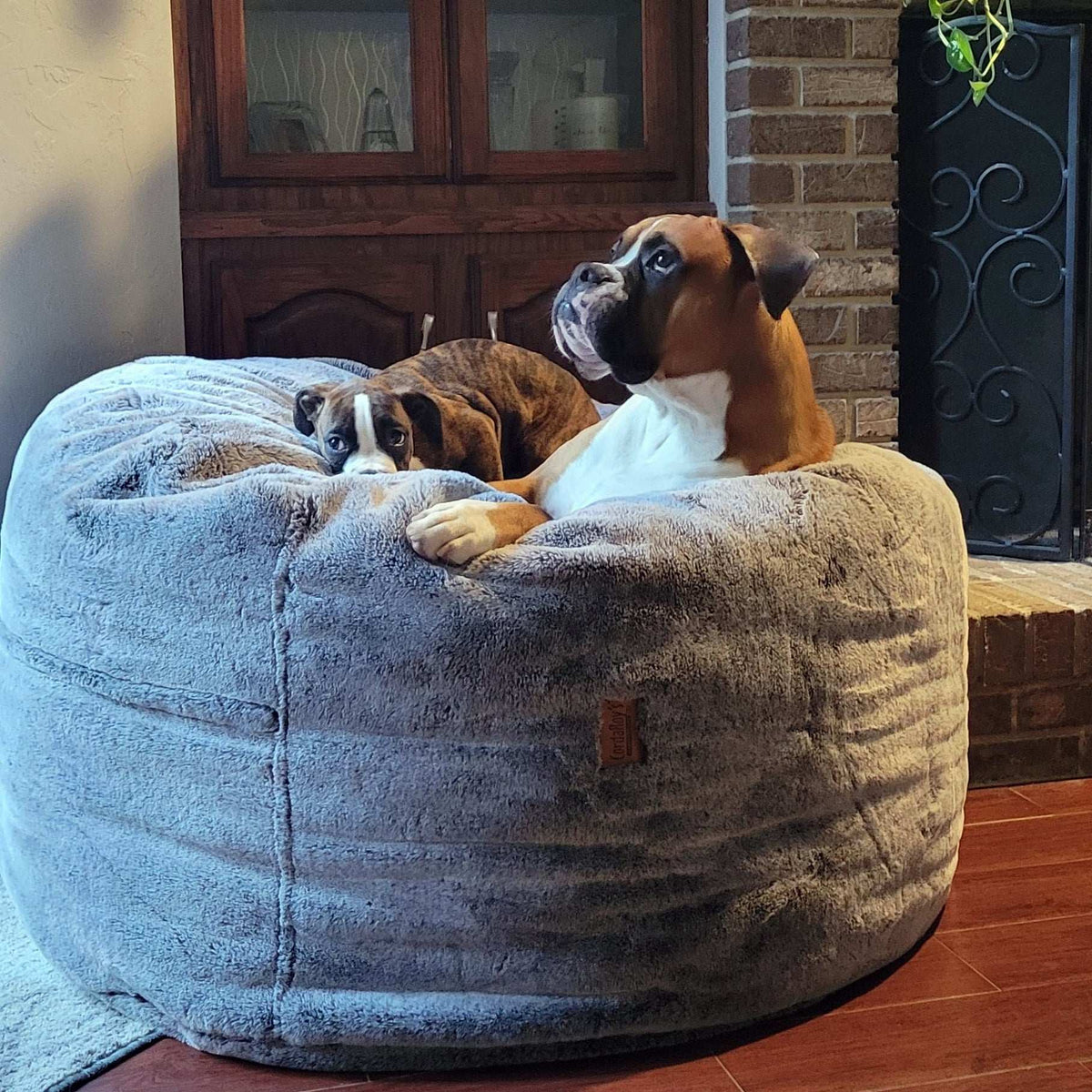 A Boxer breed dog and a puppy lay on the Faux Chinchilla Bean Bag Convertible bed as a chair.