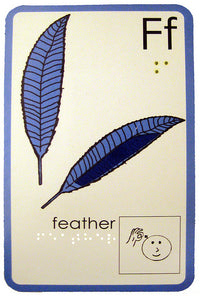 The F for Feather Card.