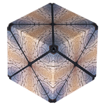The Parched Duomoto Magnetic Puzzle Cube in a cube shape.