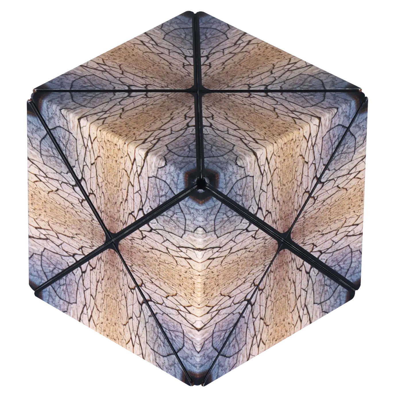 The Parched Duomoto Magnetic Puzzle Cube in a cube shape.