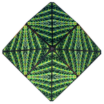 A design of the Parched Duomoto Magnetic Puzzle Cube.