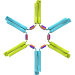 The Nockles Tactile Fidget Toy - Loop (5-Spoke).