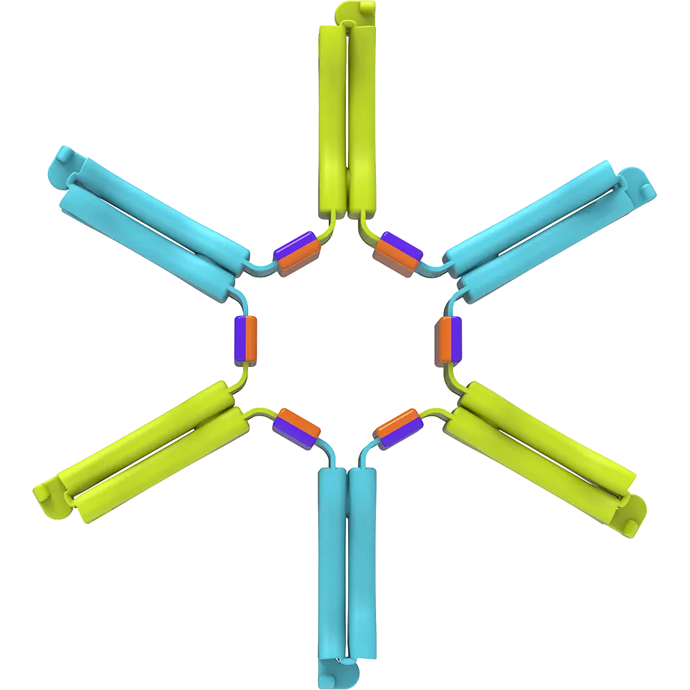 The Nockles Tactile Fidget Toy - Loop (5-Spoke).
