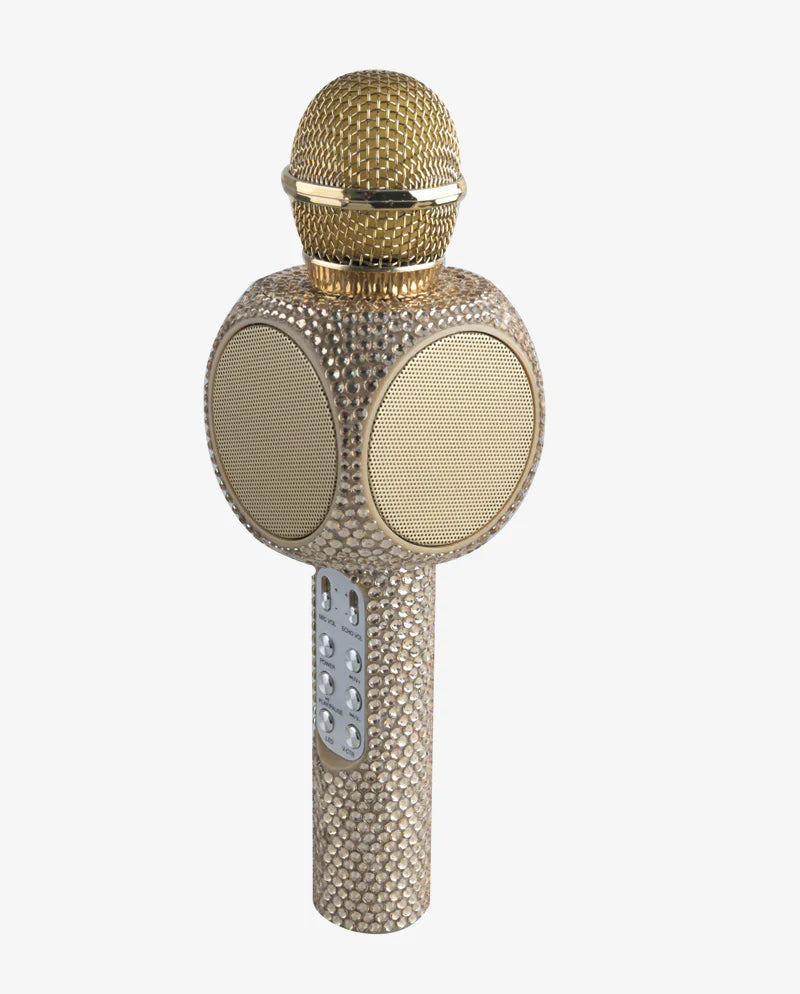 The Sing-A-Long Gold Blind Karaoke Microphone.