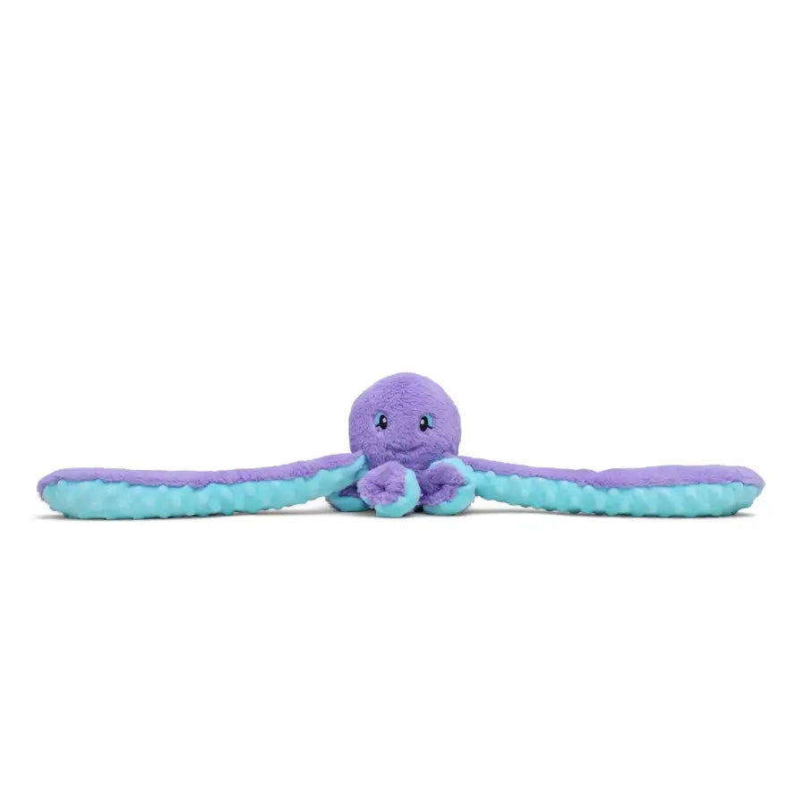 Indigo the Octopus with its arms spread out.