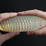 Two hands hold the Morf Fidget Worm 8" Unicorn like a burger.