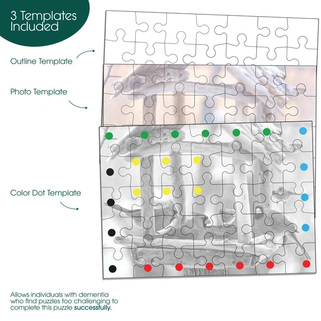 An infographic showing the 3 Templates: the outline template, the photo template, and the color dot template.