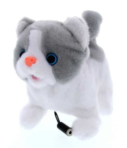 The Lil Kitty adaptive toy.