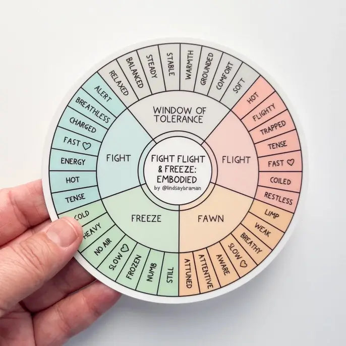 Lindsay Braman's Fight, Flight, Freeze Embodied Wheel, 5