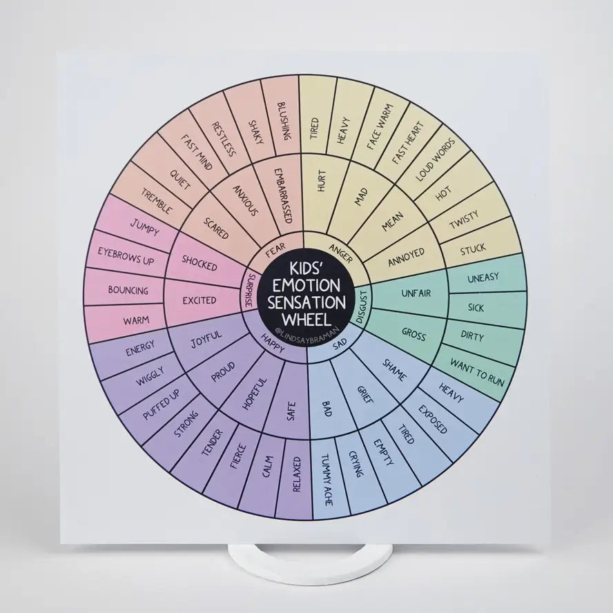 The Lindsay Braman Two-Sided Fidget Proof Kids Emoji Emotion Sensation Wheel.