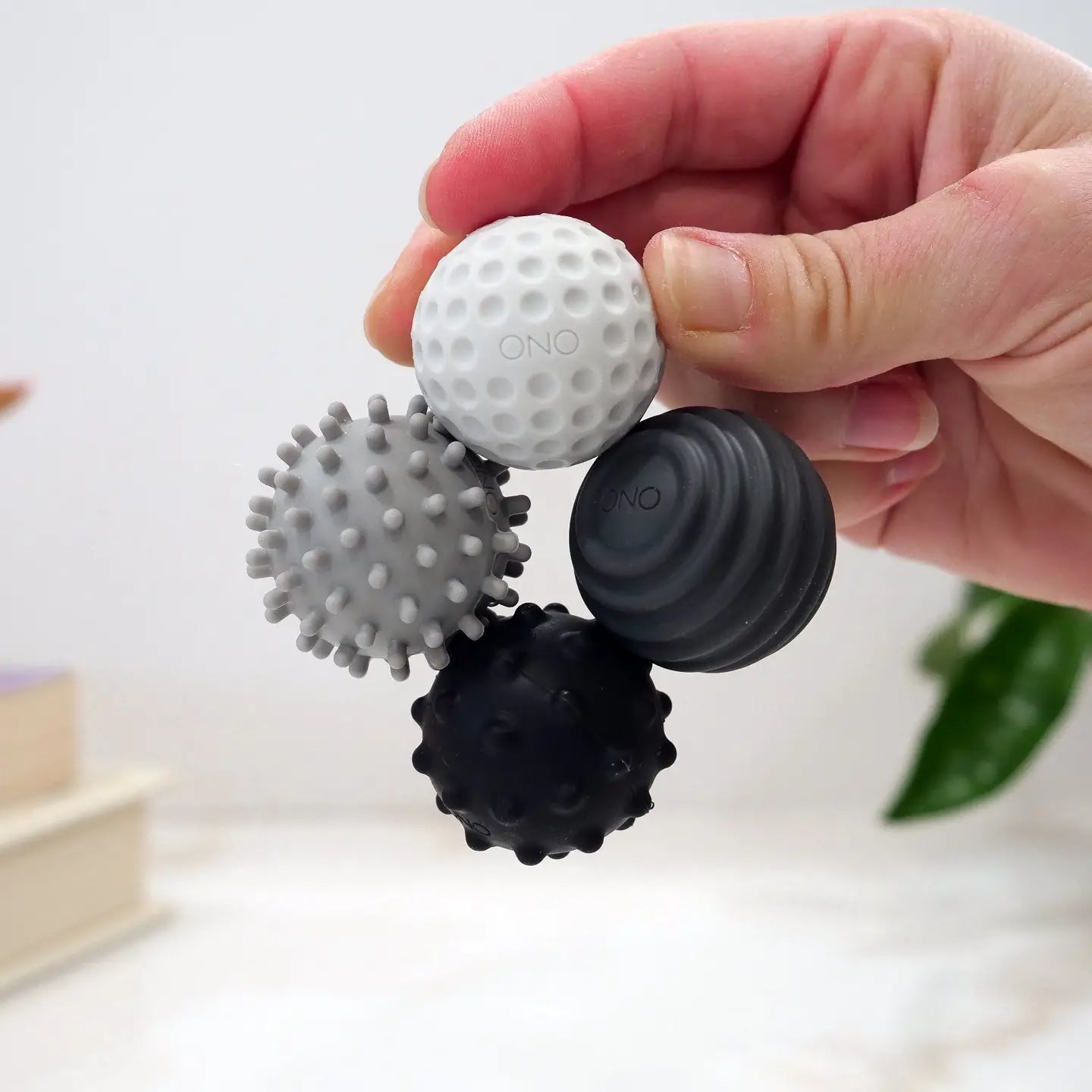 ONO Roller Signets - Graphite 8-Pack