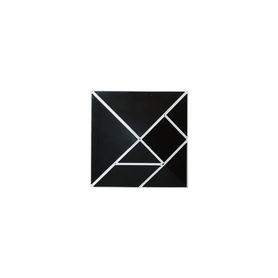 The Pickagram Magnetic 3D Art Puzzle - Reverse Panda.