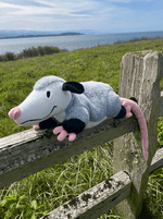 The 3 lb Weighted Opossum Plush on a mossy wooden fence.