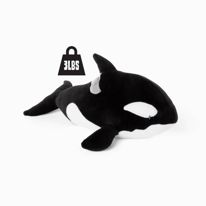 The 3 lb Weighted Orca Plush.