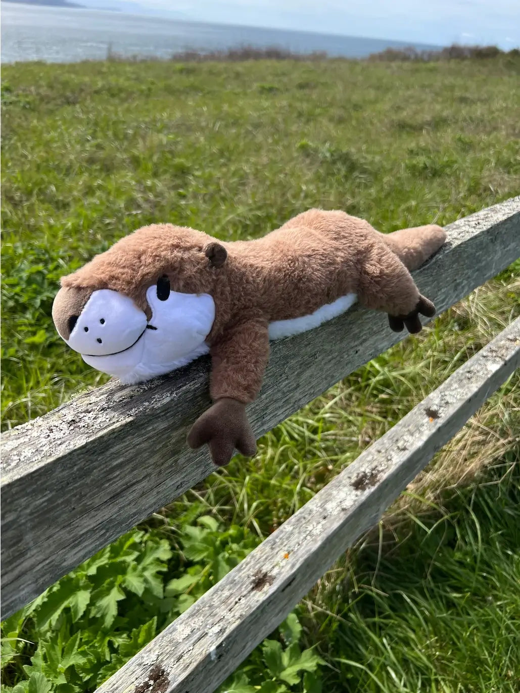 The Weighted Stuffed Otter from Roamin' Bison Workshop on a wooden fence next to the sea.