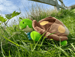 The Weighted Turtle 3 lb Plush on some grass.