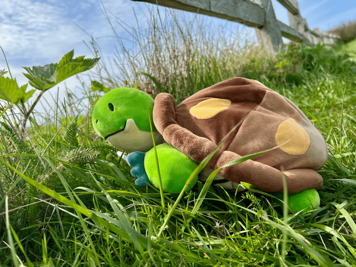 The Weighted Turtle 3 lb Plush on some grass.