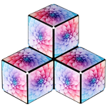 The Shashibo Tie Dye Twist revealing the spring colored flowers on the design inside.