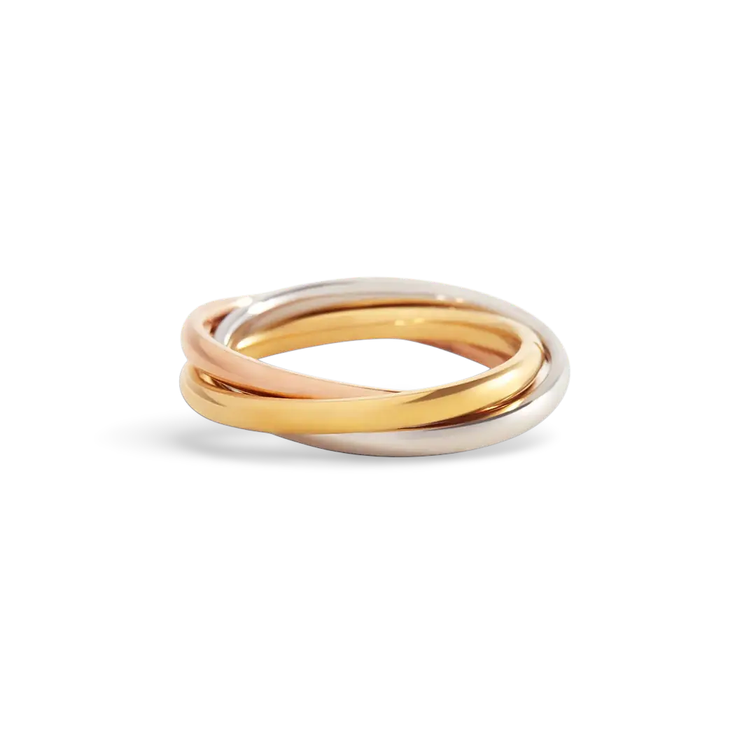 The Mint & Lily Tri-Color Dainty Interlocking Fidget Ring.