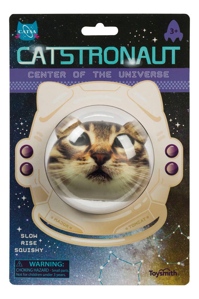 The Catstronaut in its packaging.