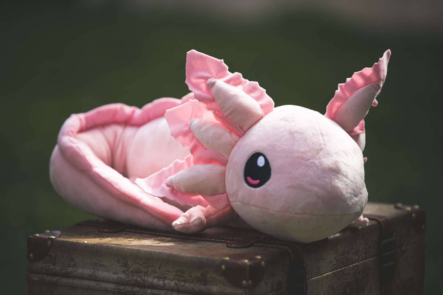 Axolotl Weighted Plush