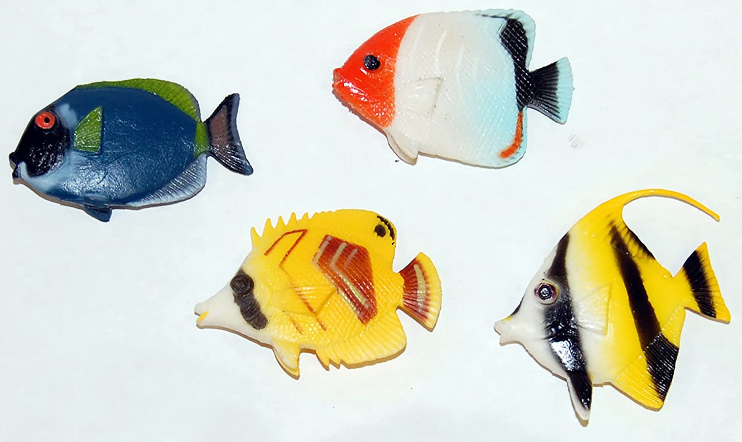 Gel Aquarium with Fish