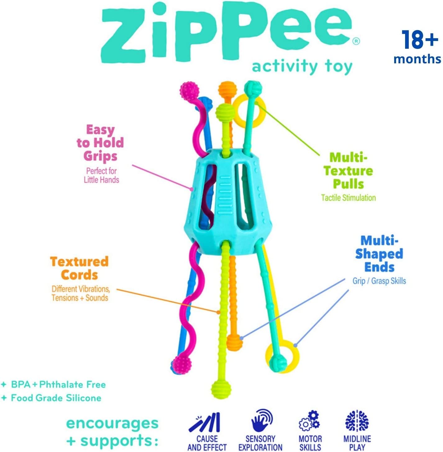 Zippee Activity Pull Toy