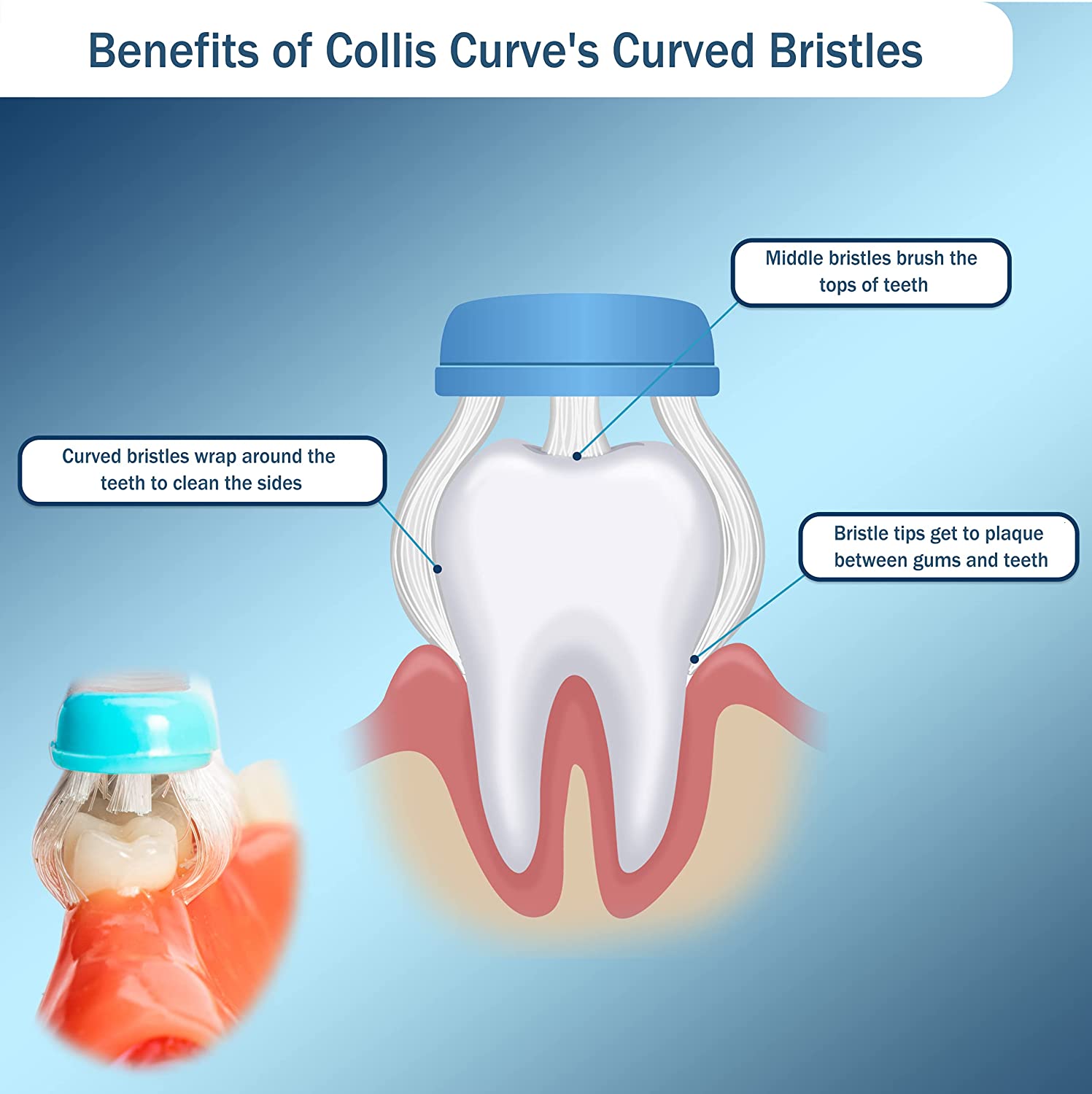 Collis-Curve Toothbrush with Triplefit Bristles