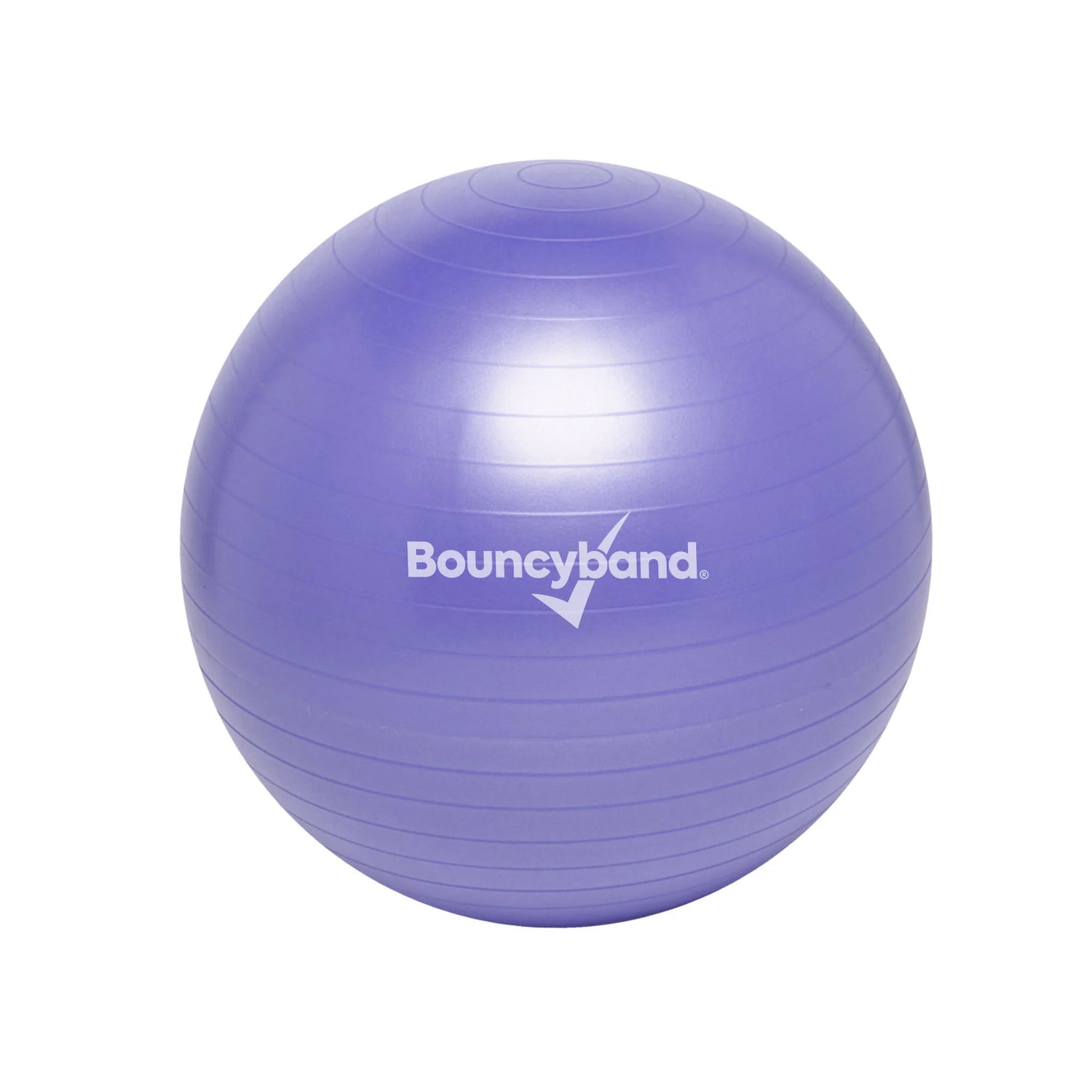 Balance Ball Weighted Seat