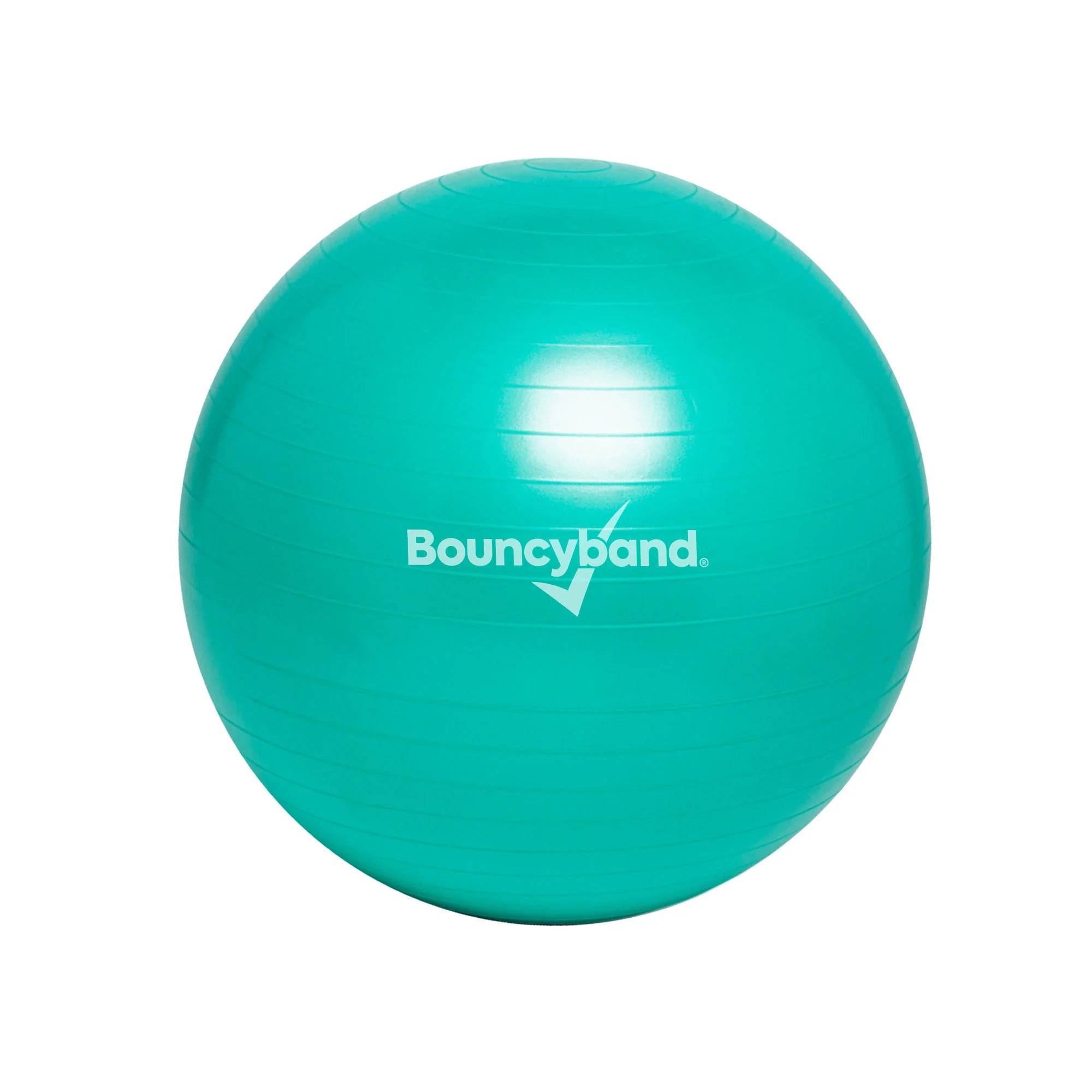 Balance Ball Weighted Seat
